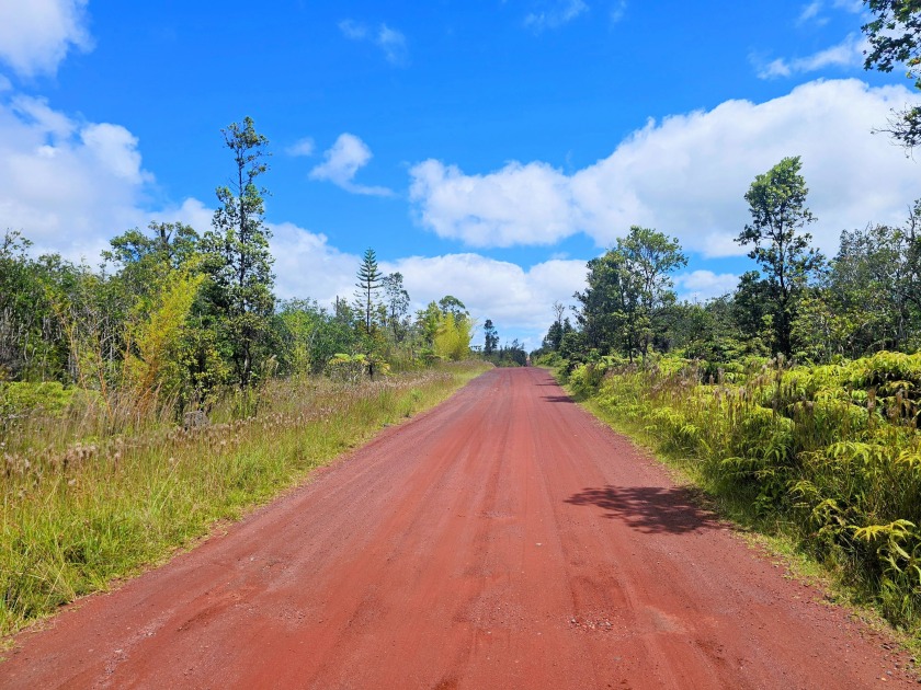 20 acres of Kopua Farm Lots finest! At less than a mile from - Beach Acreage for sale in Mountain View, Hawaii on Beachhouse.com