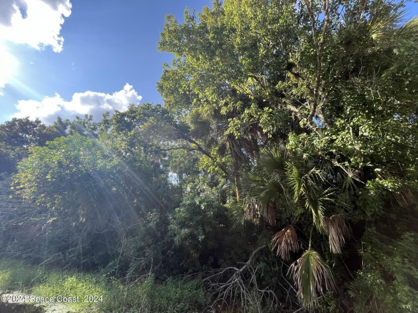 So much potential with this beautiful acreage property where you - Beach Acreage for sale in Cocoa, Florida on Beachhouse.com