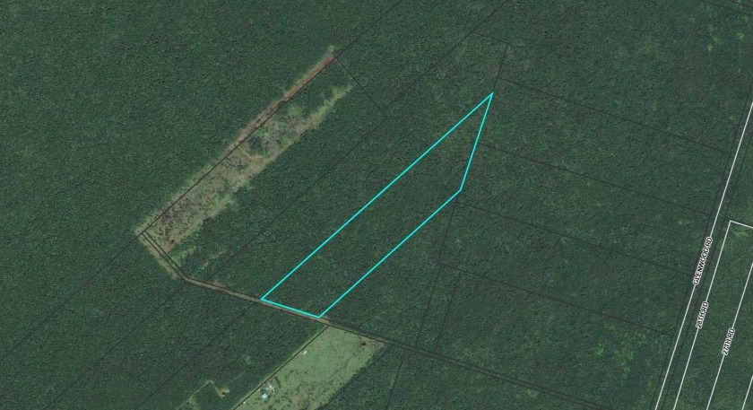 Looking to be off grid on an untouched very private property on - Beach Acreage for sale in Volcano, Hawaii on Beachhouse.com