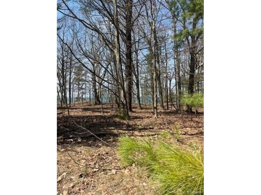 A once in a lifetime, stunning Lake Michigan property, offered - Beach Lot for sale in Pentwater Vlg, Michigan on Beachhouse.com