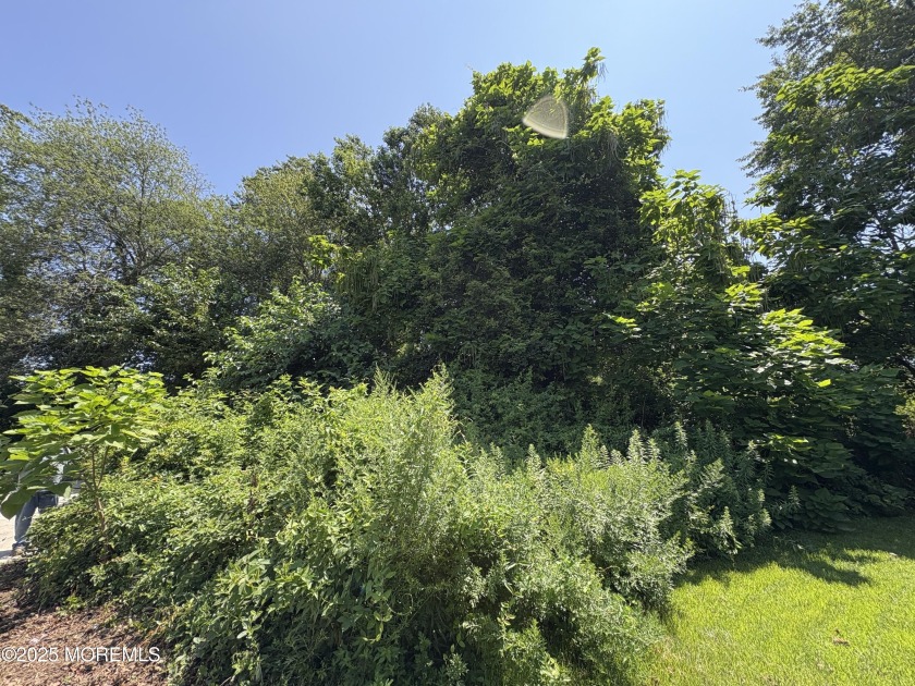 This private 80' x 100' lot is ideally situated at the end of a - Beach Lot for sale in Waretown, New Jersey on Beachhouse.com