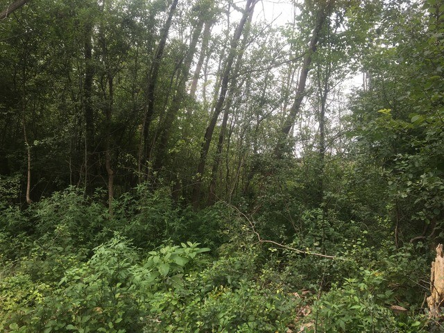 Build Your Dream Home On This Wonderful Lot Located On A Quiet - Beach Lot for sale in Lake Bluff, Illinois on Beachhouse.com