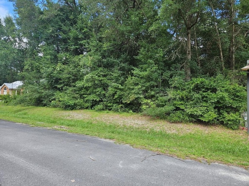 Land For Sale - Minutes from Wewahitchka & the Gulf! Bring your - Beach Lot for sale in Wewahitchka, Florida on Beachhouse.com