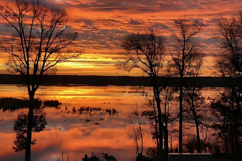 This beautiful, wooded, 1.49-acre parcel has 101' of water - Beach Lot for sale in Saugatuck, Michigan on Beachhouse.com