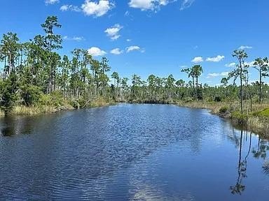 Waterfront with Gulf access and privacy it has 9.69 acres with - Beach Acreage for sale in Wewahitchka, Florida on Beachhouse.com