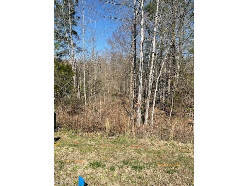 This wooded 1/2 acre lot is located in Ford's Colony. A gentle - Beach Lot for sale in Williamsburg, Virginia on Beachhouse.com