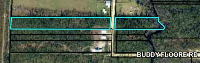 Endless Possibilities on 6.78 Acres Near Mexico Beach Just - Beach Acreage for sale in Wewahitchka, Florida on Beachhouse.com