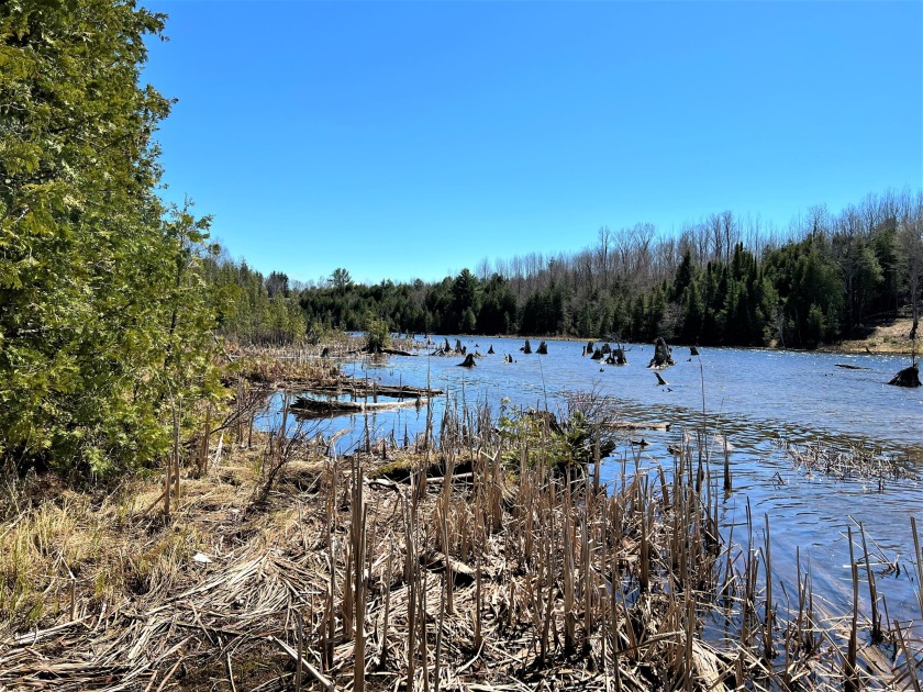 Cheboygan Acreage For Sale Off River Edge Drive MI 3791083