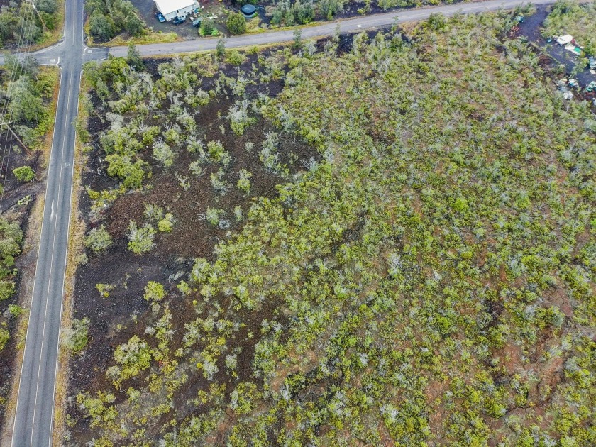 Nicely wooded acre in Oceanview View Estates. Oceanview is a - Beach Lot for sale in Ocean View, Hawaii on Beachhouse.com