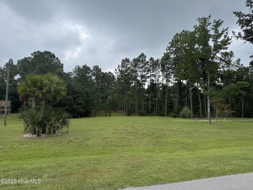Build your dream coastal Carolina home on this PAD-READY lot in - Beach Lot for sale in New Bern, North Carolina on Beachhouse.com