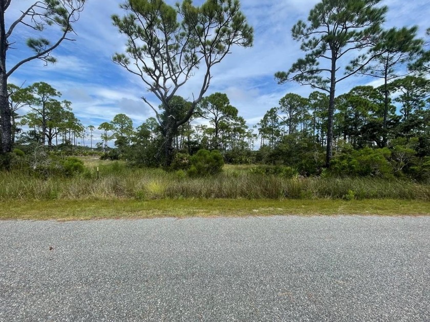 Build your dream coastal retreat on this rare 1.34-acre lot in - Beach Lot for sale in Alligator Point, Florida on Beachhouse.com