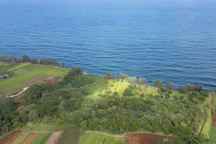Rare and hard to find large ocean front property with approx. 11 - Beach Acreage for sale in Pepeekeo, Hawaii on Beachhouse.com