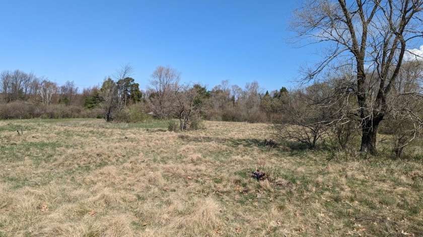 Build Your Dream on Prime Land! 
Imagine your dream home on - Beach Lot for sale in Ludington, Michigan on Beachhouse.com