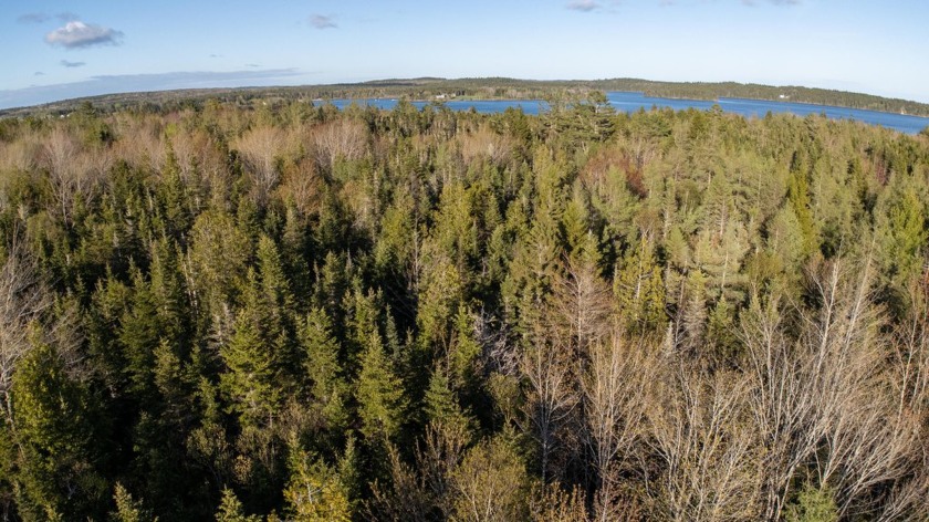 This 5+ acre surveyed lot sits in the coastal town of Jonesboro - Beach Acreage for sale in Jonesboro, Maine on Beachhouse.com