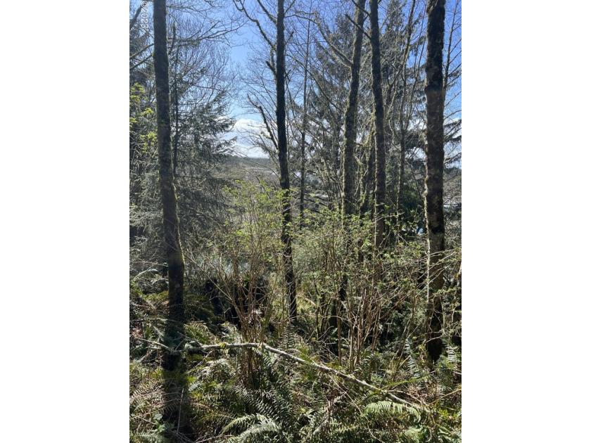 Beautiful 5.30 acres in town on the tidal canal with wooded - Beach Acreage for sale in Pacific City, Oregon on Beachhouse.com