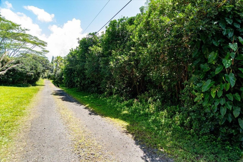 Currently the best priced 1-Acre parcel listed on the market - Beach Lot for sale in Keaau, Hawaii on Beachhouse.com