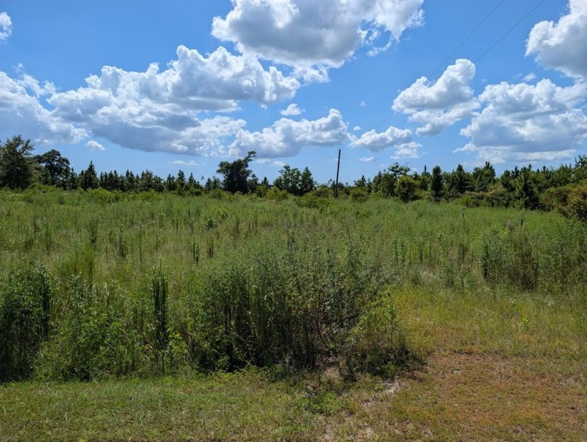 2 Expansive Acres of Coastal Freedom in a Great Location! - Beach Lot for sale in Wewahitchka, Florida on Beachhouse.com