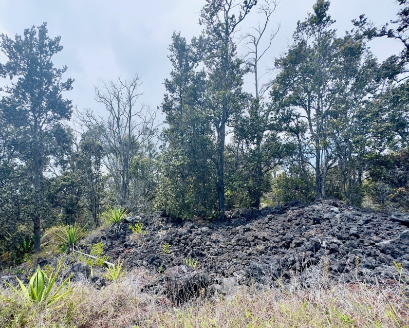 Wonderful wide lot at a higher elevation in HOVE. Perfect for - Beach Lot for sale in Ocean View, Hawaii on Beachhouse.com