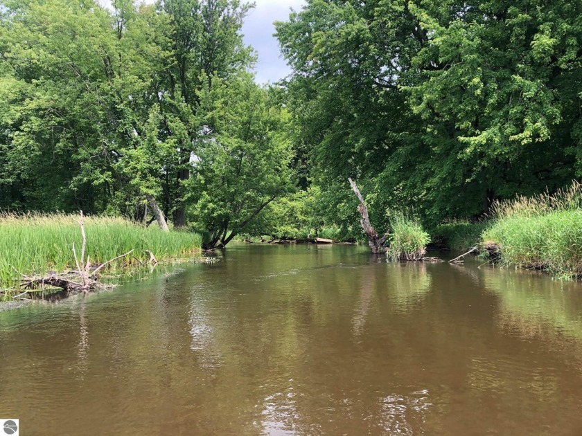 27.82 Acres with over 900 feet of river frontage on Bear Creek - Beach Home for sale in Manistee, Michigan on Beachhouse.com