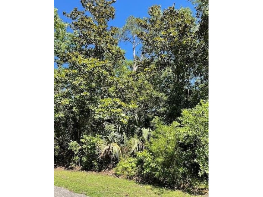 This one-acre wooded corner lot is nestled within the 90 acre - Beach Lot for sale in Apalachicola, Florida on Beachhouse.com