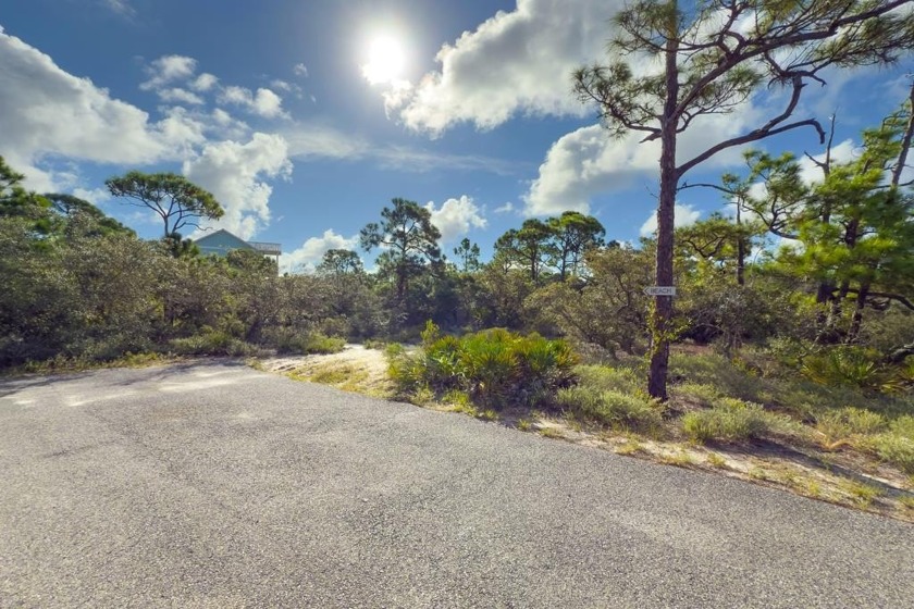 Build your coastal getaway in the sought-after gated community - Beach Lot for sale in St. George Island, Florida on Beachhouse.com