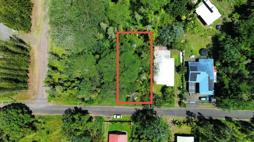 This property is still beautifully wooded and ready for you to - Beach Lot for sale in Pahoa, Hawaii on Beachhouse.com