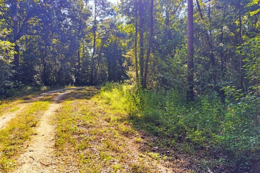 This half-acre lot offers the perfect blend of peaceful country - Beach Lot for sale in Wewahitchka, Florida on Beachhouse.com