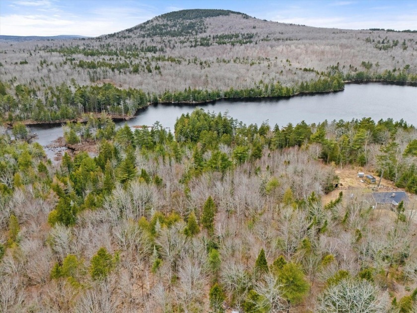 PRICE CHANGE! Discover the beauty and tranquility of this rare 4 - Beach Acreage for sale in Blue Hill, Maine on Beachhouse.com