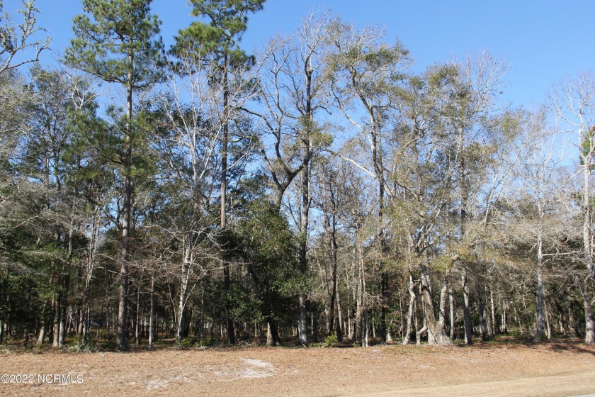 Located in the gated community of Oyster Harbour. This pond - Beach Lot for sale in Supply, North Carolina on Beachhouse.com