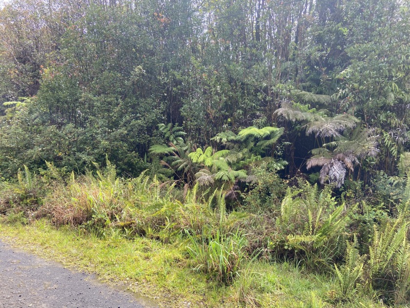 This is a wooded lot located in the Glenwood Gardens/Orchid Isle - Beach Lot for sale in Volcano, Hawaii on Beachhouse.com