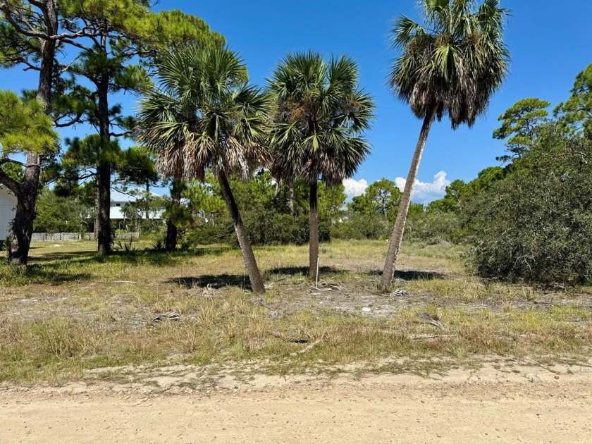 Discover the perfect spot to build your coastal dream home or - Beach Lot for sale in St. George Island, Florida on Beachhouse.com
