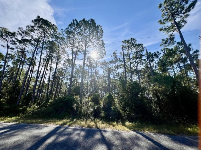 Calling all serious golfers.  This 0.68 acre wooded lot is on St - Beach Lot for sale in Port St Joe, Florida on Beachhouse.com