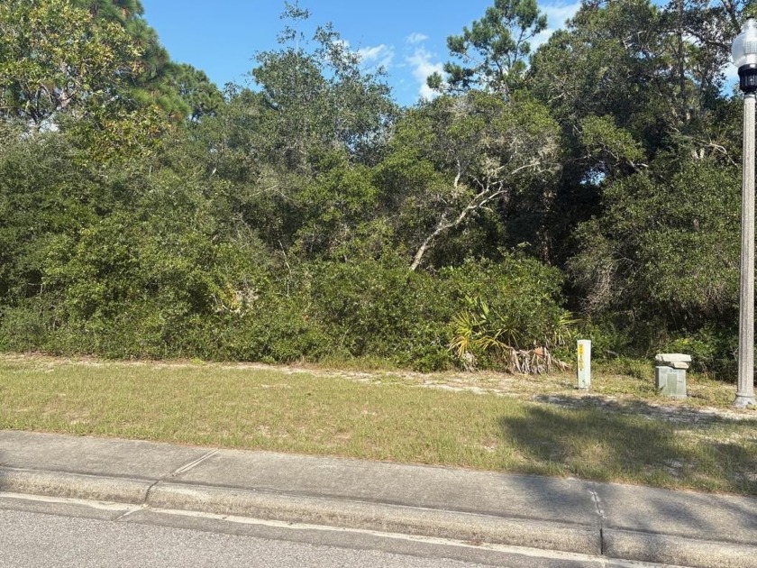 Located on the #5 Tee Boxes, this Garden Villa lot has no time - Beach Lot for sale in Carabelle, Florida on Beachhouse.com
