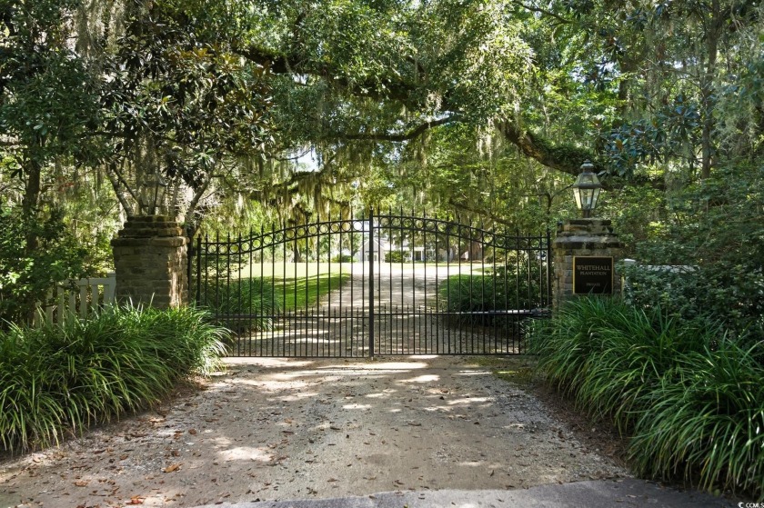 Discover a rare opportunity to own a piece of Lowcountry history - Beach Lot for sale in Georgetown, South Carolina on Beachhouse.com