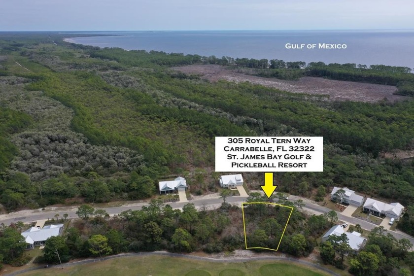 Prime vacant lot in St. James Golf & Pickleball Resort! Discover - Beach Lot for sale in Carabelle, Florida on Beachhouse.com