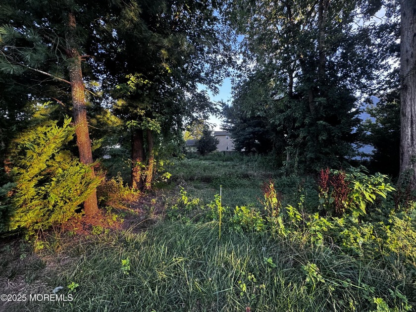 Fantastic piece of property 50 x 100 with utilities at the - Beach Lot for sale in Toms River, New Jersey on Beachhouse.com