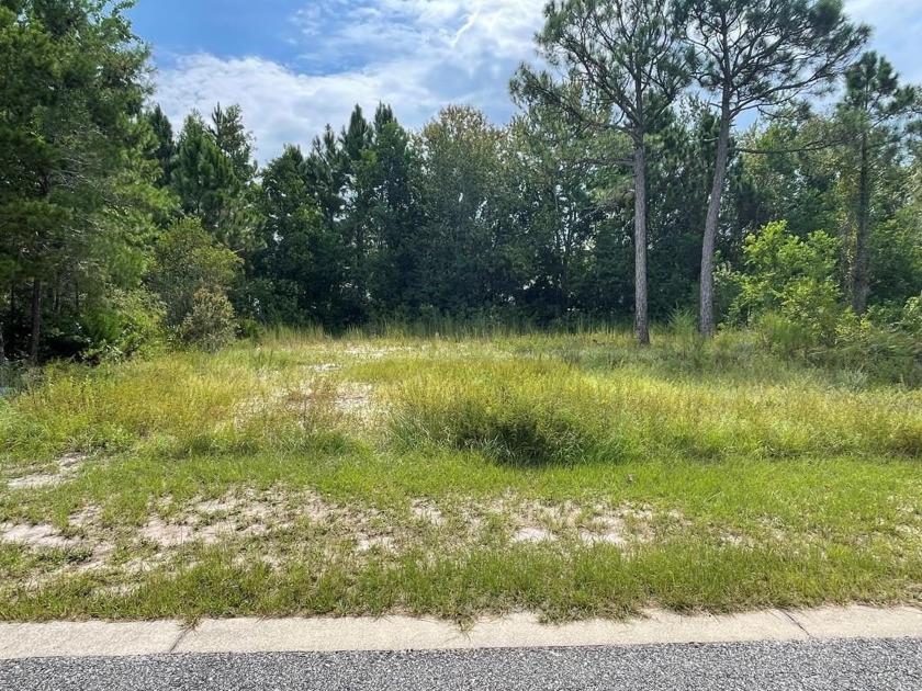 Nice lot ready to build your primary home, or a vacation rental - Beach Lot for sale in Carabelle, Florida on Beachhouse.com