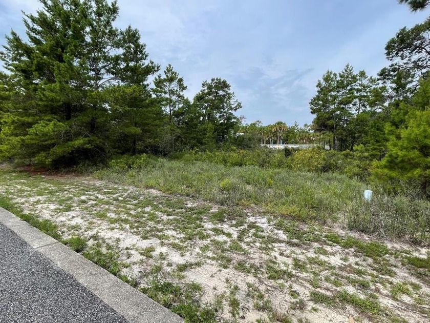 Beautiful lot located adjacent to community pool and clubhouse - Beach Lot for sale in Carabelle, Florida on Beachhouse.com