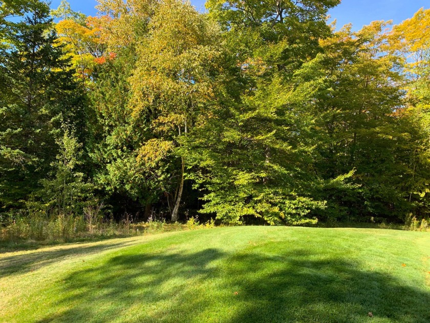 This wooded golf course lot is situated on the 17th hole of the - Beach Lot for sale in Mackinac Island, Michigan on Beachhouse.com
