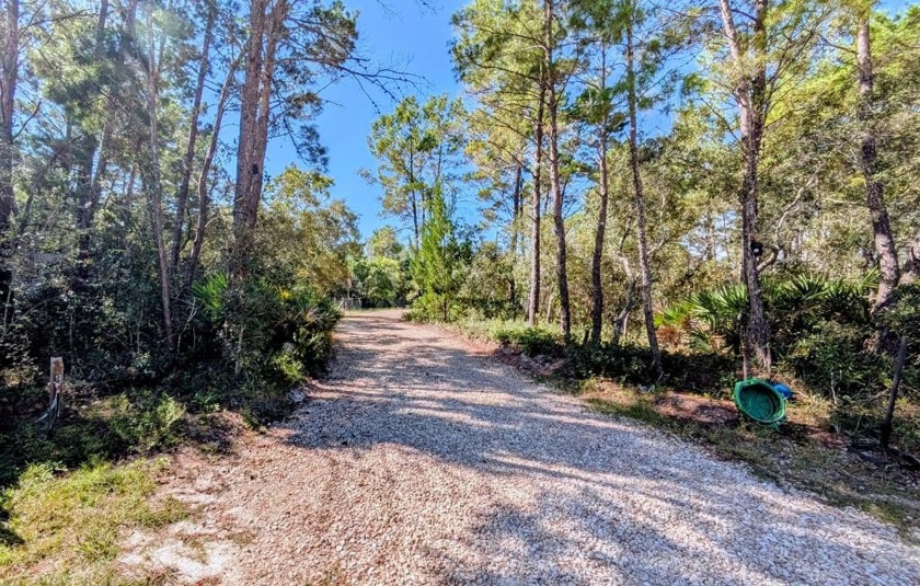 DREAM PROJECT!   Discover this private 2-acre property located - Beach Acreage for sale in Carabelle, Florida on Beachhouse.com