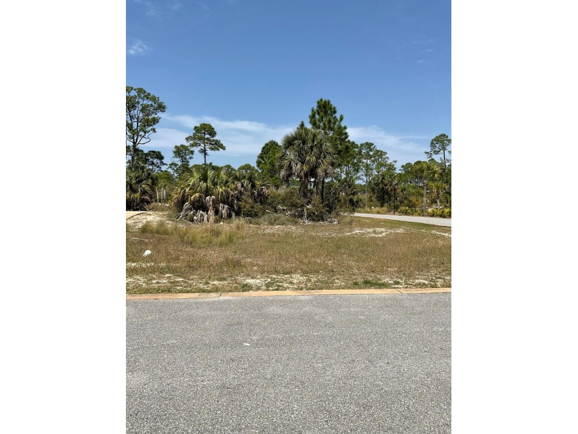Beautiful building lot in the heart of the gated community of - Beach Lot for sale in Cape San Blas, Florida on Beachhouse.com