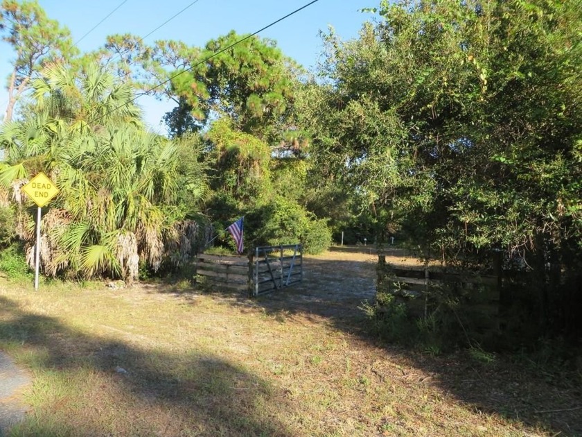 Beautiful 1 acre lot on a high ridge 2 blocks from the bay. All - Beach Lot for sale in Carabelle, Florida on Beachhouse.com