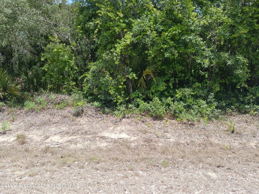 Large lot for building your new home - Beach Lot for sale in Weeki Wachee, Florida on Beachhouse.com