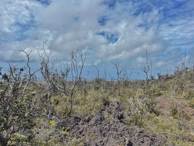 One Acre (122.4X356) Lot with Spectacular Ocean / Coastal Views - Beach Lot for sale in Ocean View, Hawaii on Beachhouse.com