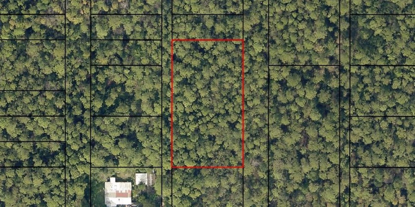 Here's your opportunity to own FIVE lots side by side in the - Beach Lot for sale in Milton, Florida on Beachhouse.com