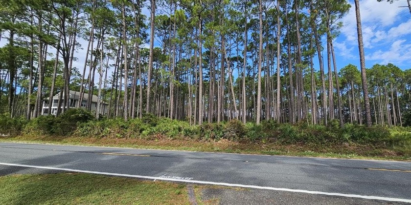 This exceptional 100ft bayview lot offers a rare opportunity to - Beach Lot for sale in Carabelle, Florida on Beachhouse.com