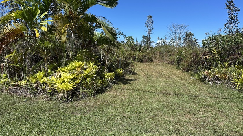 A rare opportunity to build your dream home on this partially - Beach Lot for sale in Keaau, Hawaii on Beachhouse.com