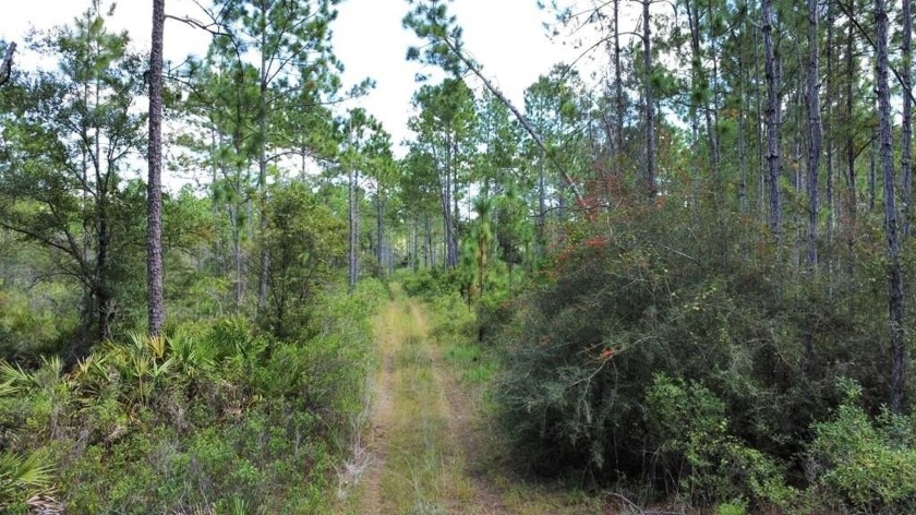 EXPANSIVE and RARE OPPORTUNITY-999-Acre Parcel in Eastpoint, FL - Beach Acreage for sale in Eastpoint, Florida on Beachhouse.com
