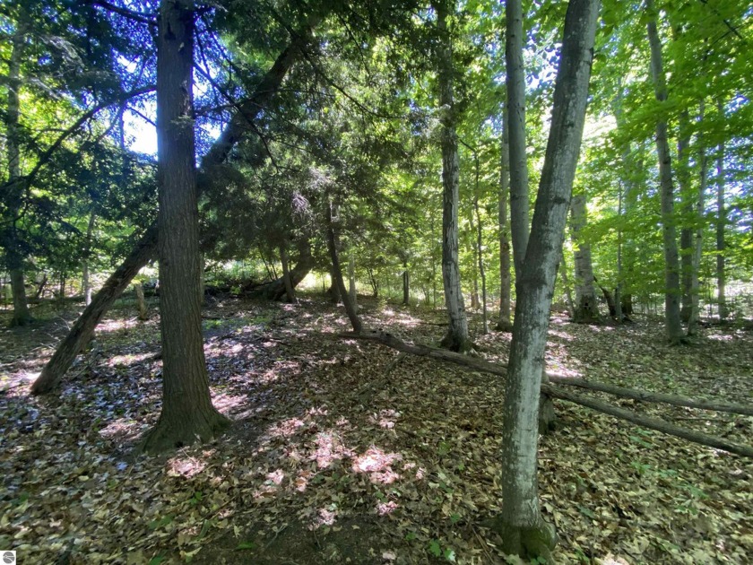 Possibly the most desirable lot at the end of the cul de sac in - Beach Lot for sale in Cedar, Michigan on Beachhouse.com