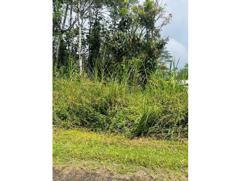 Lot located in Nanawale Estates Subdivision in the Puna District - Beach Lot for sale in Pahoa, Hawaii on Beachhouse.com